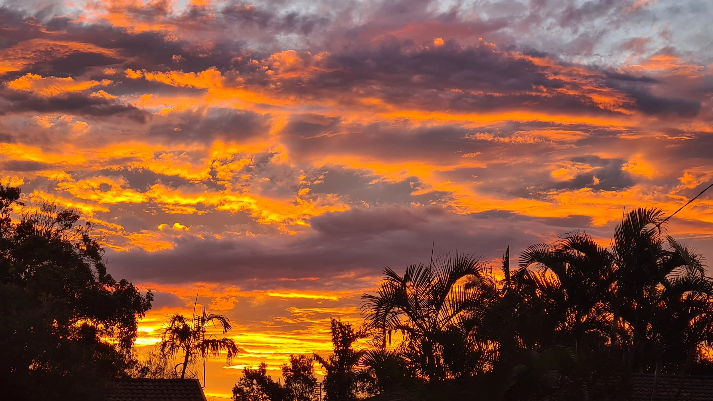 Sunset sky with vibrant orange, yellow, and purple clouds over silhouette of trees.
