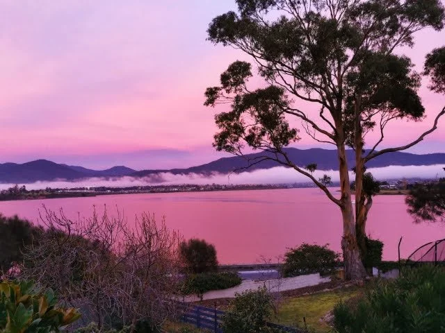 Sunset over a lake with purple sky, mountains in the distance, and a large tree in the foreground.