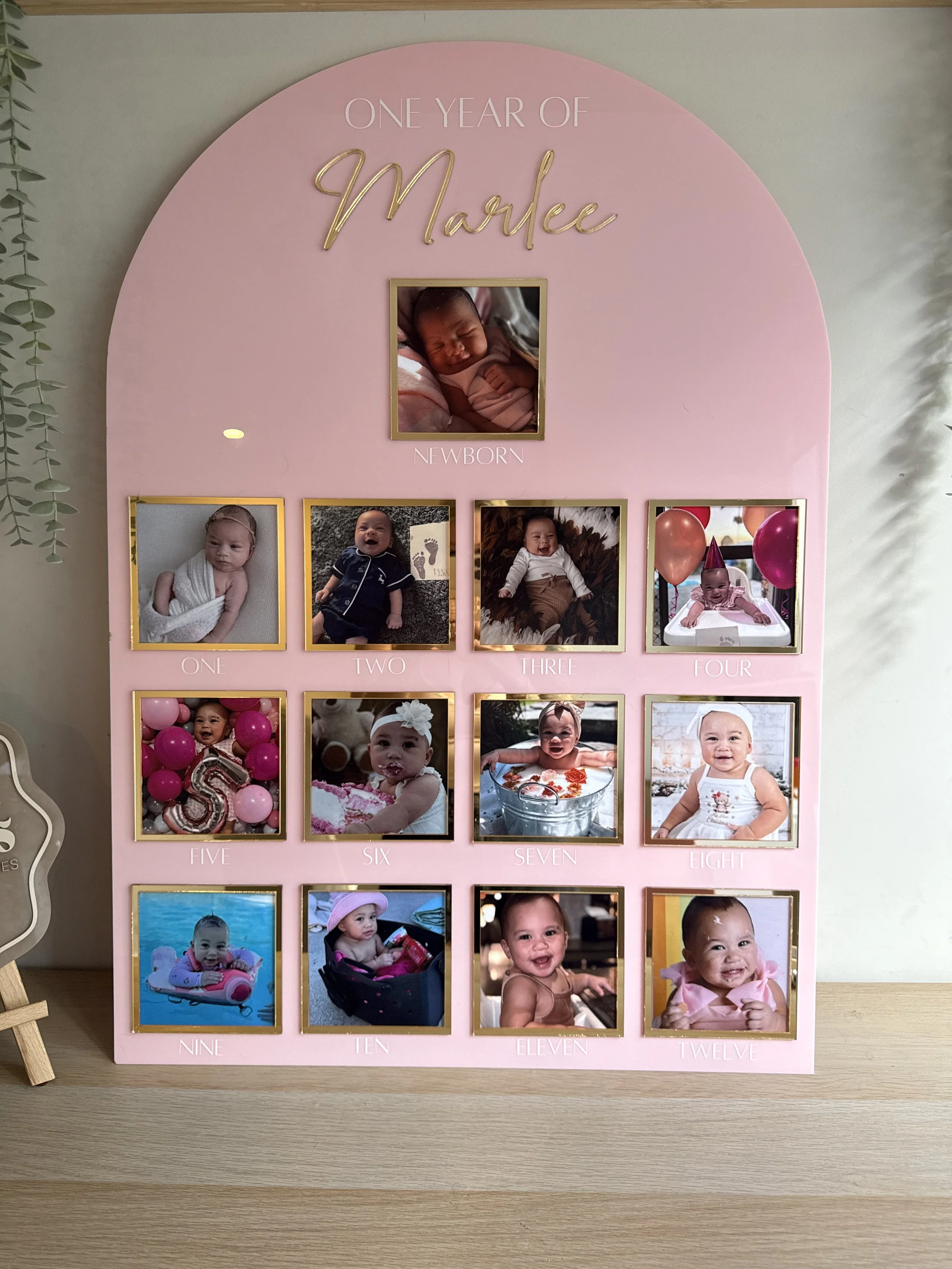 Luxe First year photo board