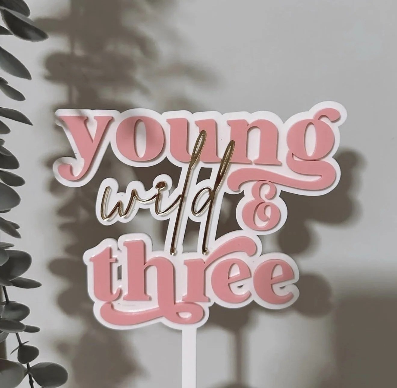 Young, Wild & 3 Cake Topper