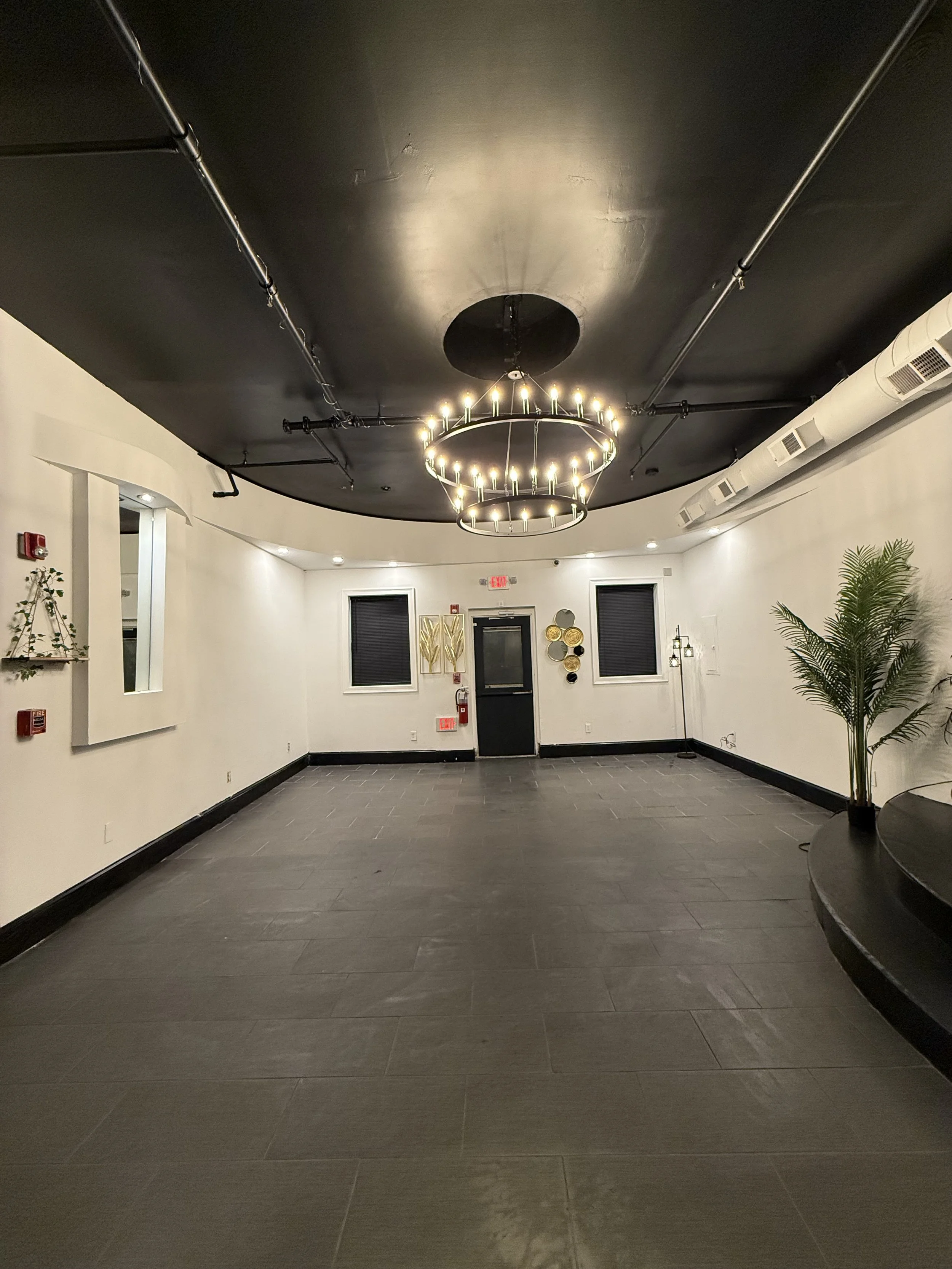 Empty room with dark tiled floor, white walls, black ceiling with a circular chandelier, a potted plant, and a door at the back.
