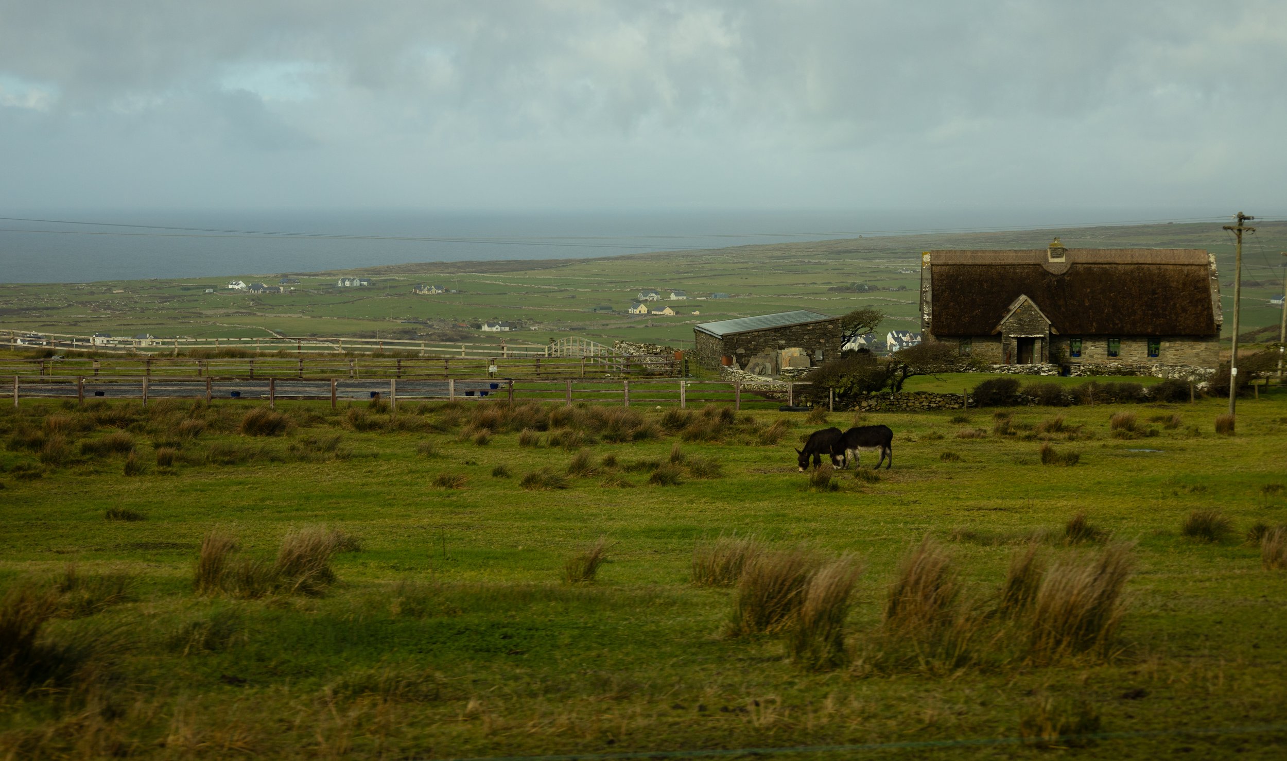 A rural landscape with a grassy field, two donkeys grazing, rustic buildings, some fences, power lines, and a distant view of the ocean under cloudy skies.