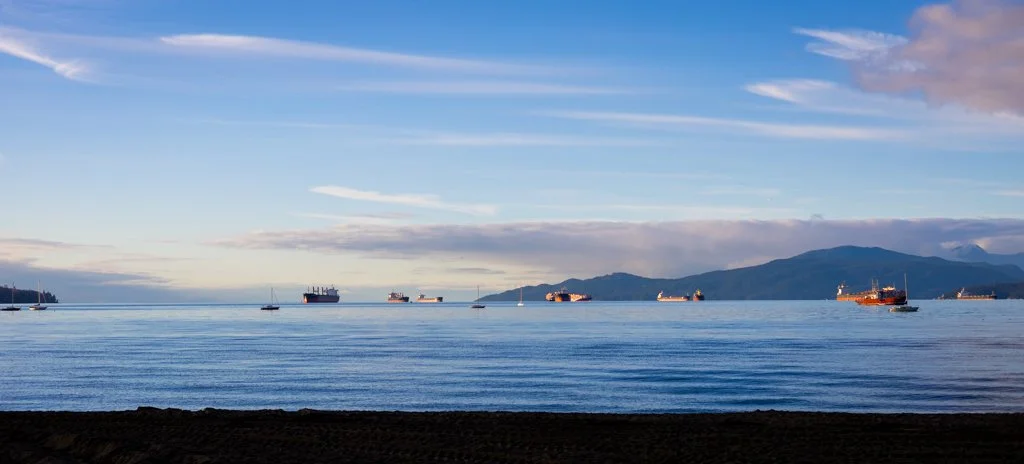 Calm ocean with several cargo ships and sailboats, distant mountains, and a partly cloudy sky.