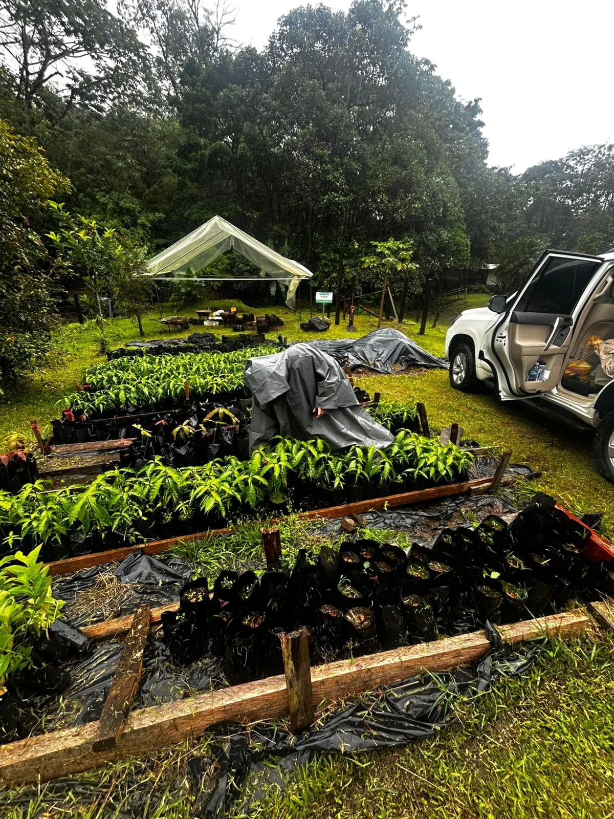 WhatsApp Image 2025-12-16 at 11.42.57 AM (2).jpeg