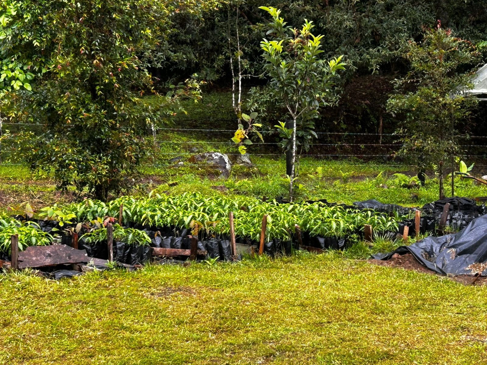 WhatsApp Image 2025-12-16 at 11.42.58 AM (6).jpeg