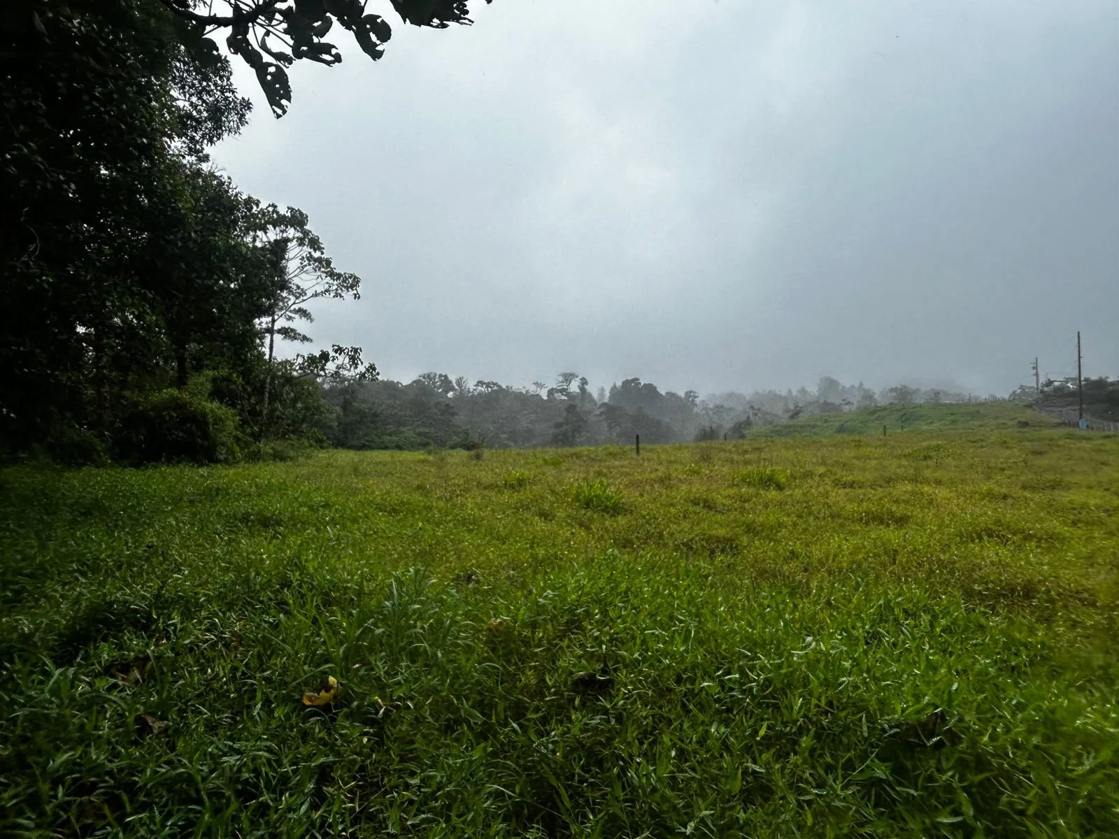 WhatsApp Image 2025-12-16 at 11.41.20 AM (1).jpeg