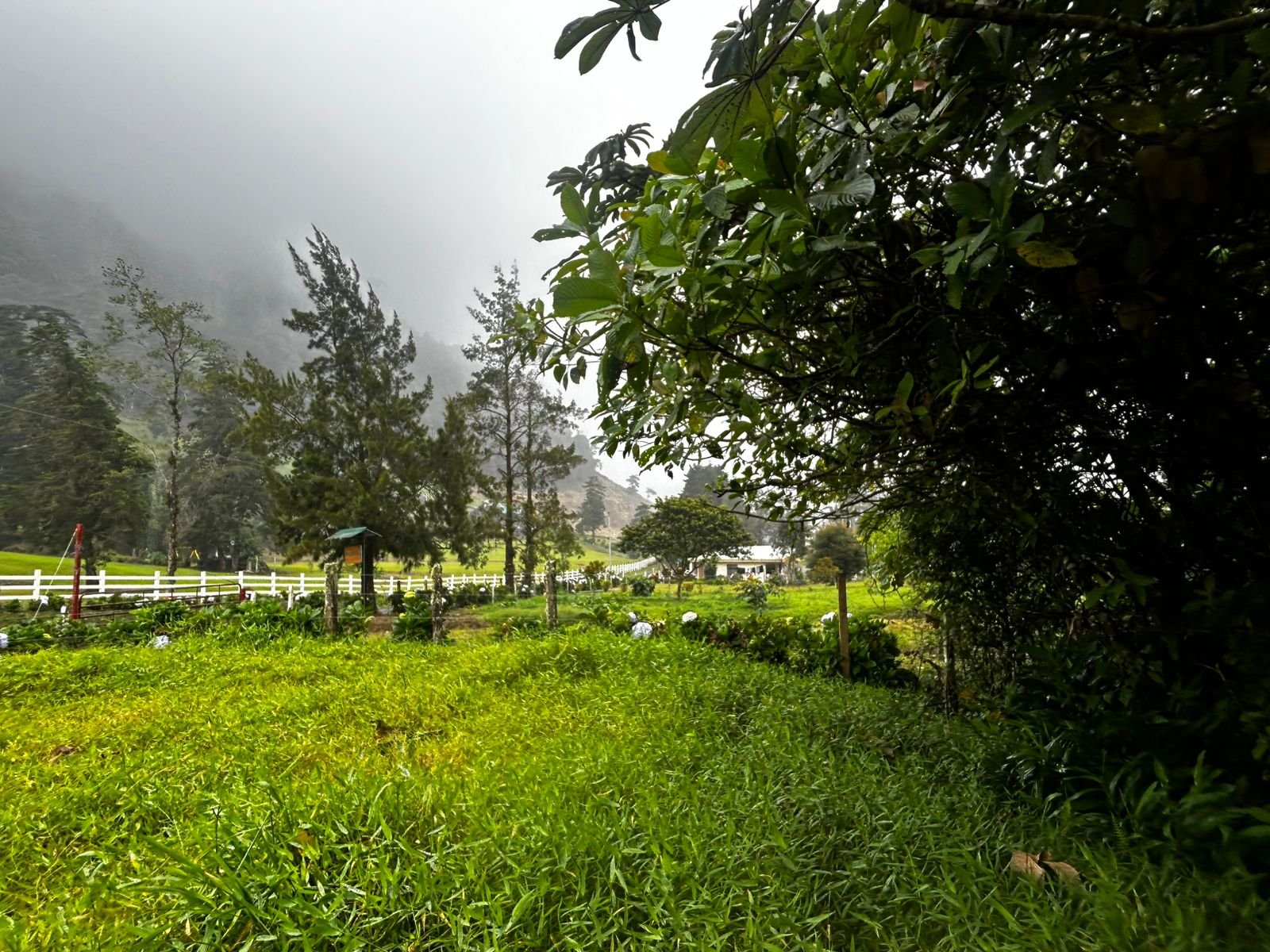 WhatsApp Image 2025-12-16 at 11.41.20 AM.jpeg