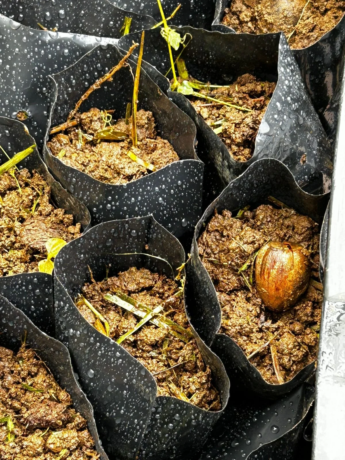 Espacio natural privilegiado