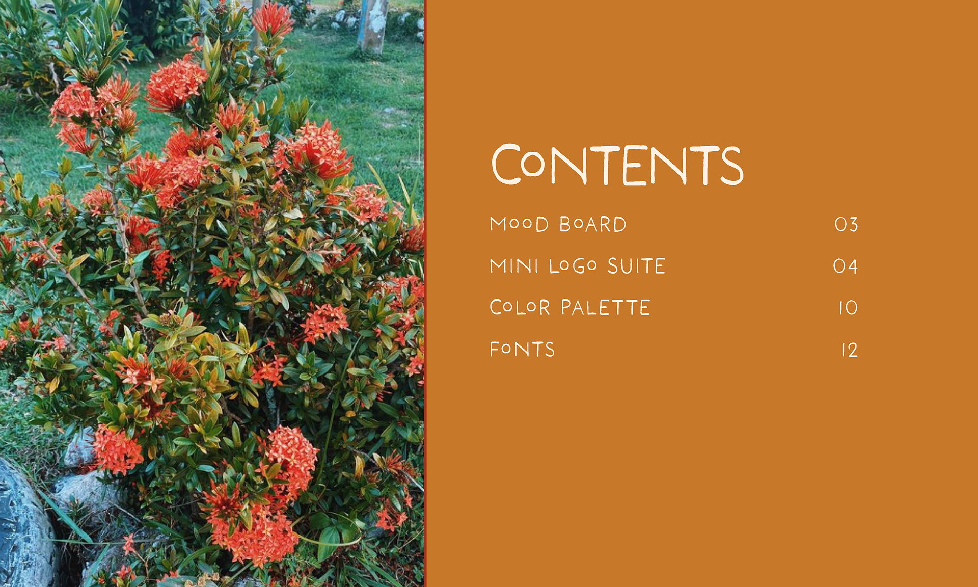 contents.png