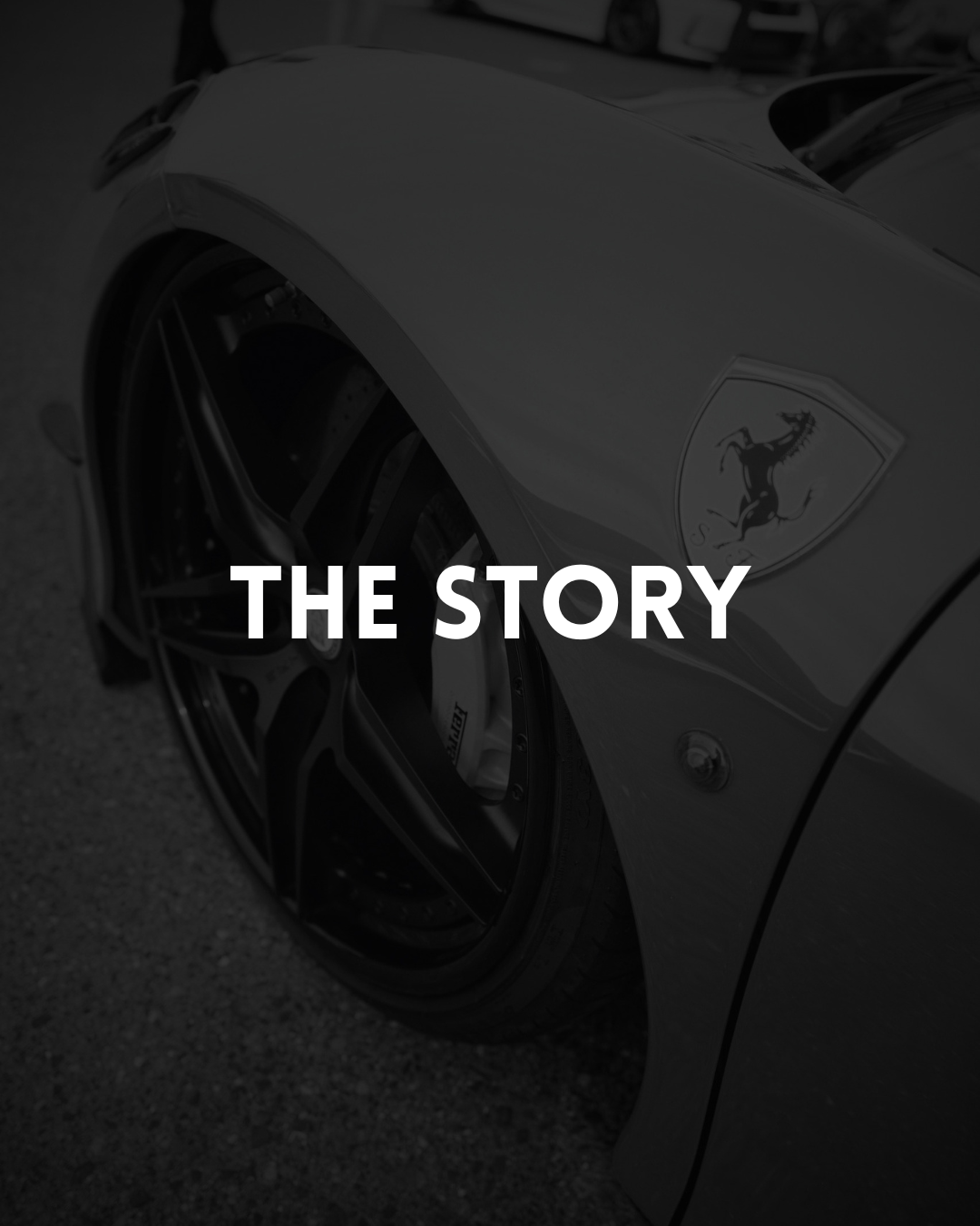 THE STORY
