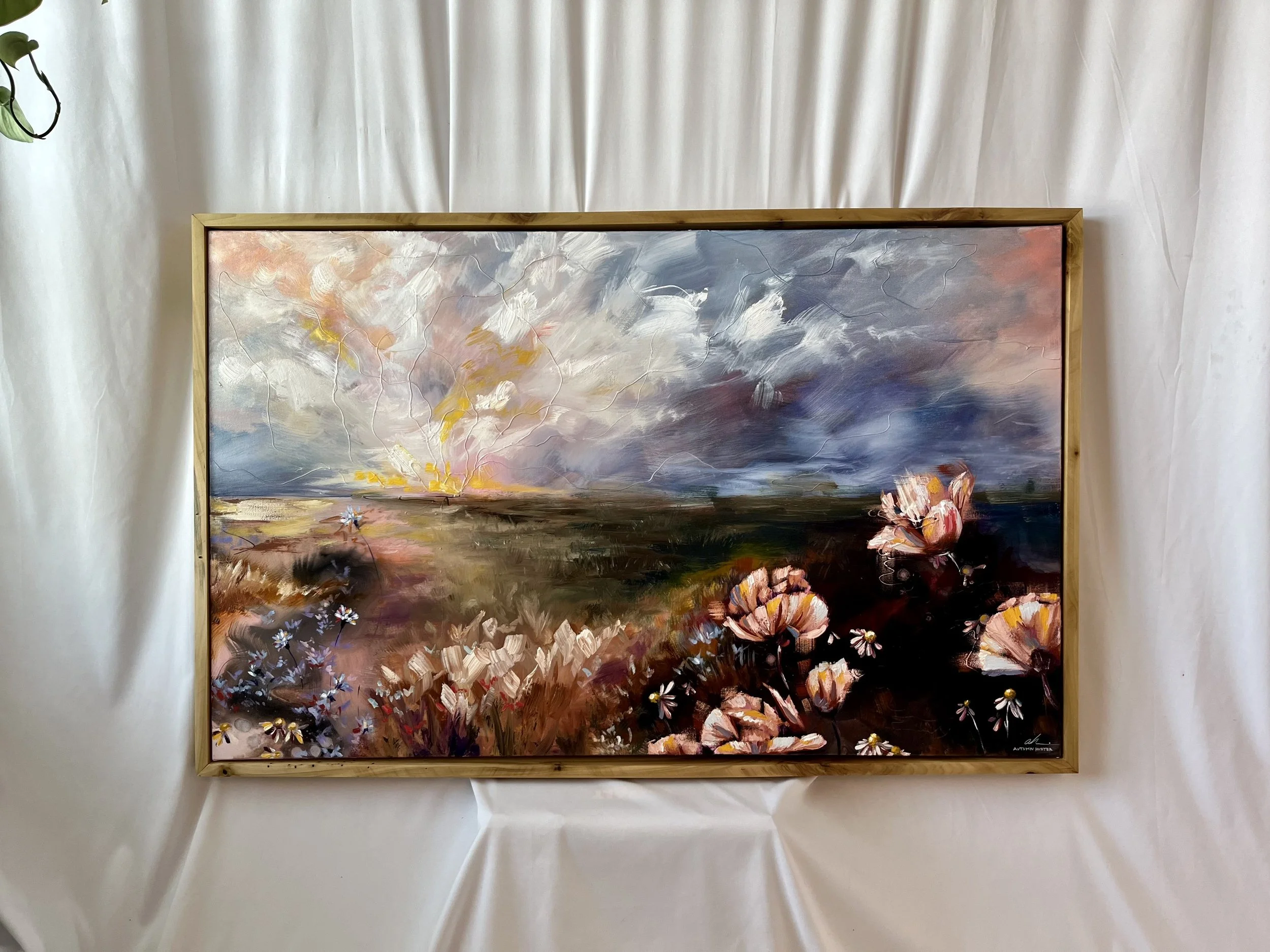 Everything the Light Touches