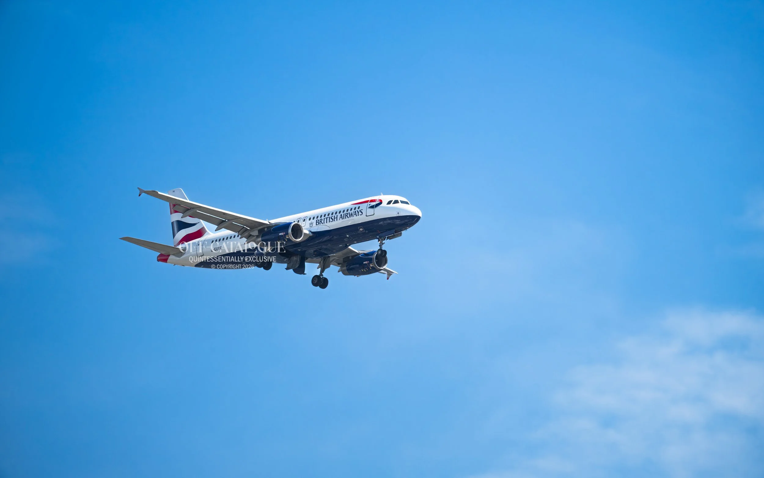British Airways Airbus A319 "Babybus"