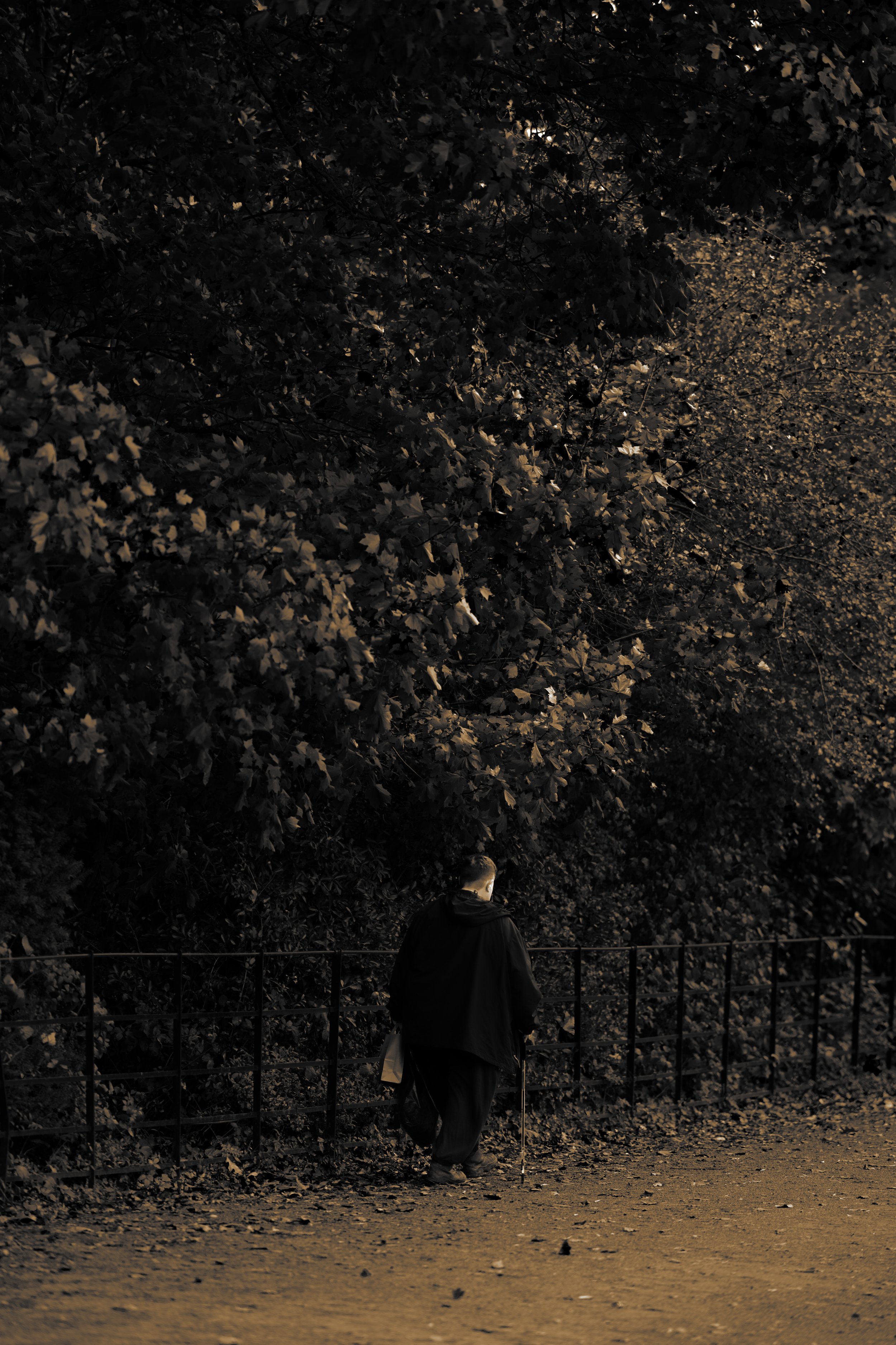 The Noble Citizen Print