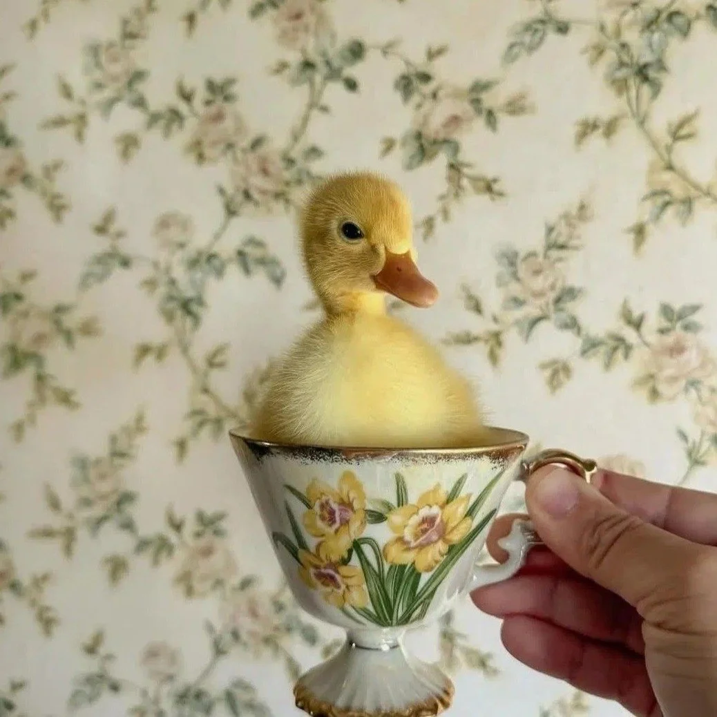 Soft launch. Literally.