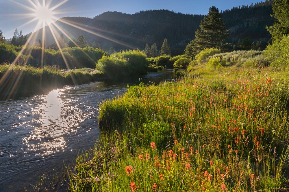 Carpenter Valley © Elizabeth Carmel