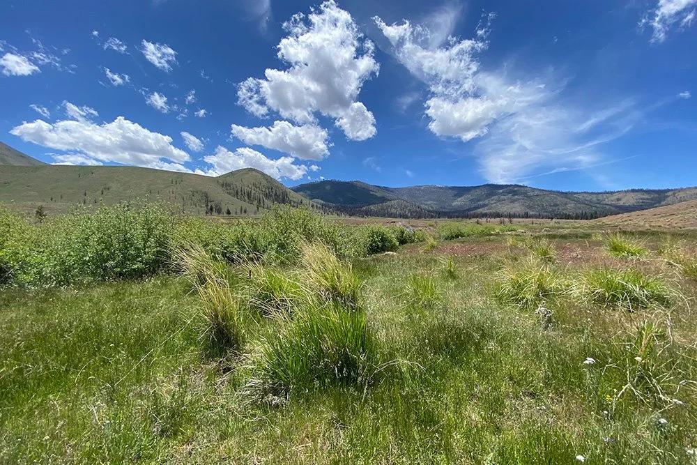 Long Valley, Lucy Blake