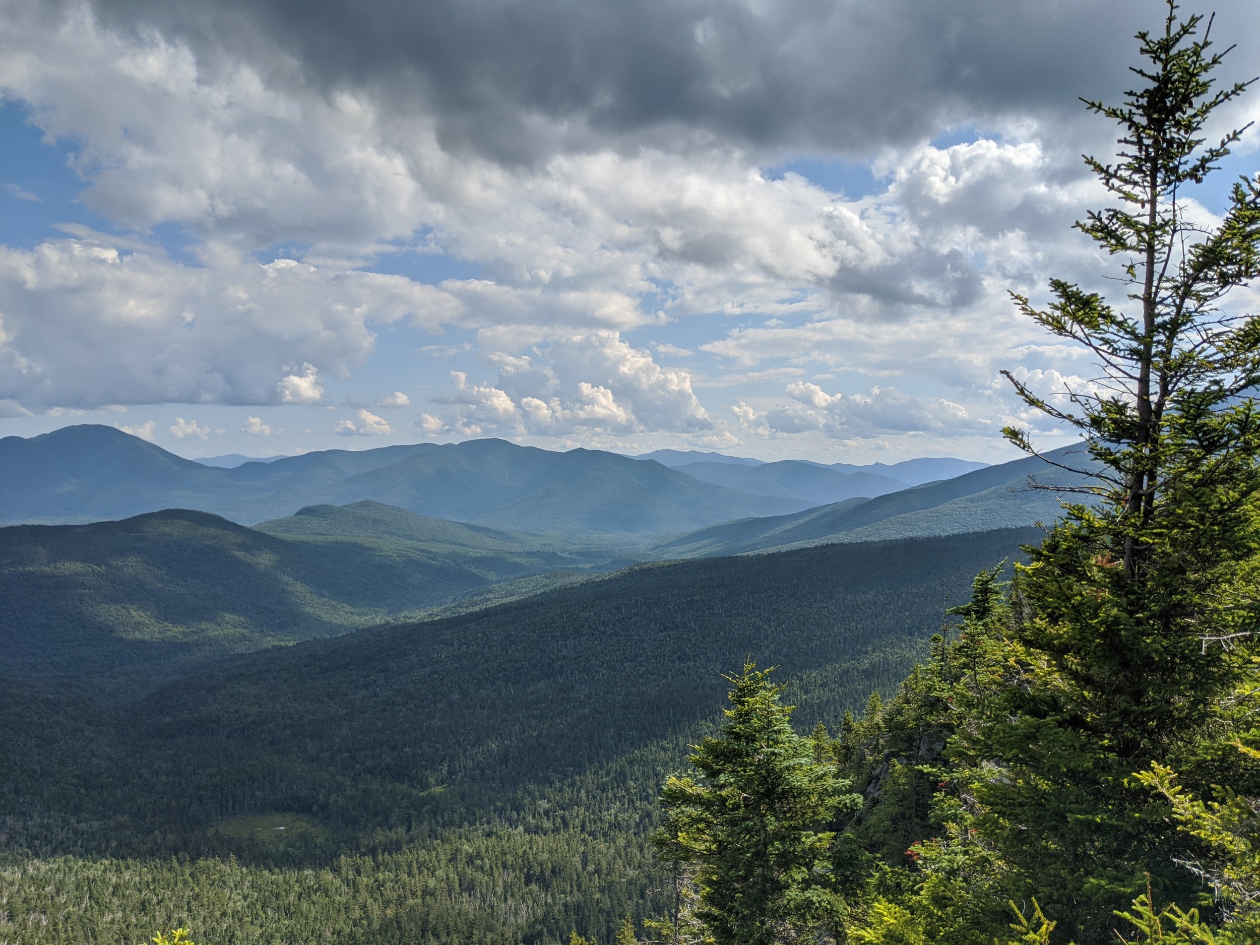 Mountain landscape with a dense forest of pine trees in the foreground, rolling mountain ridges in the distance, and a partly cloudy sky overhead.