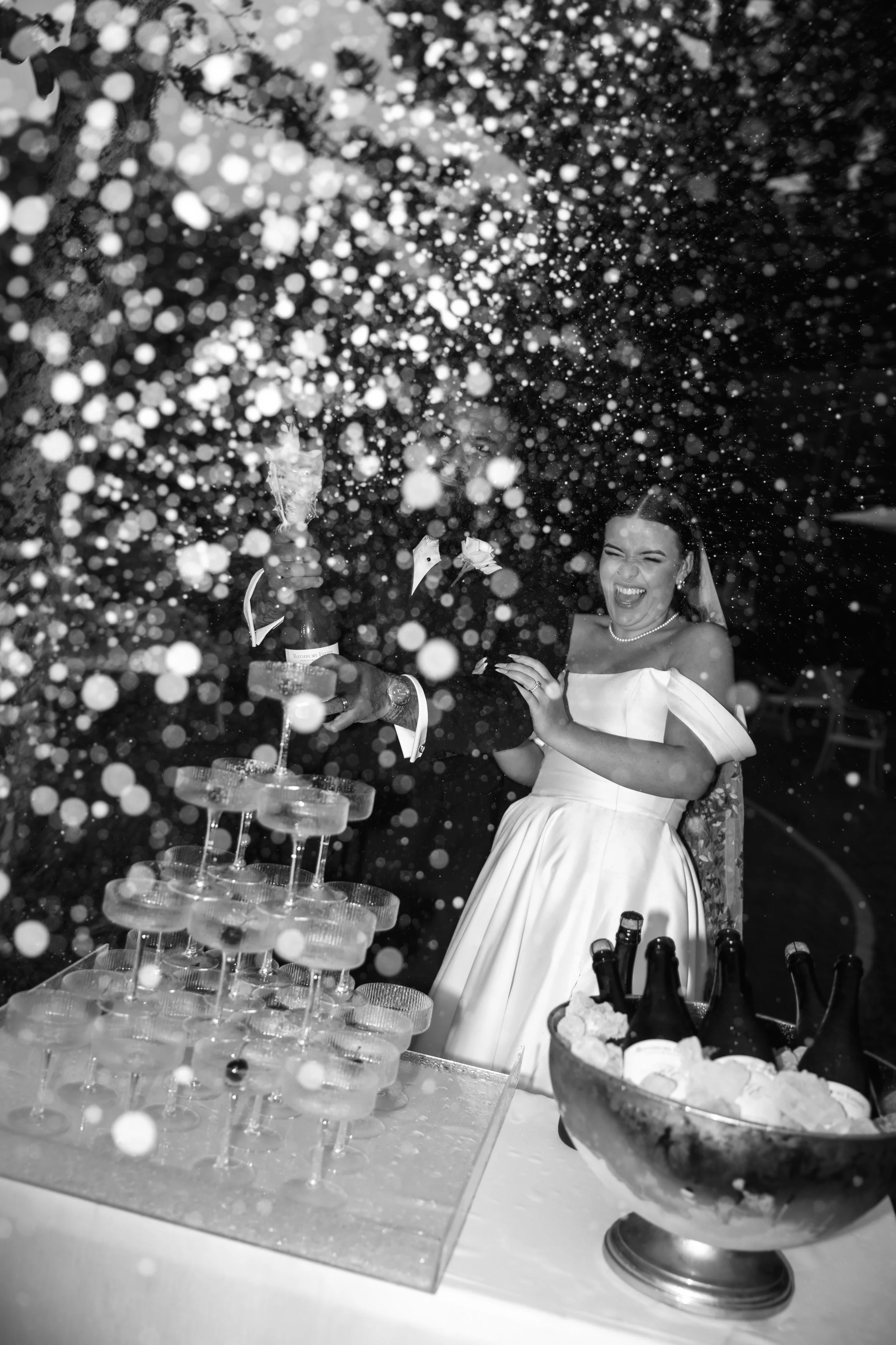 THE CELEBRATION PACKAGE.