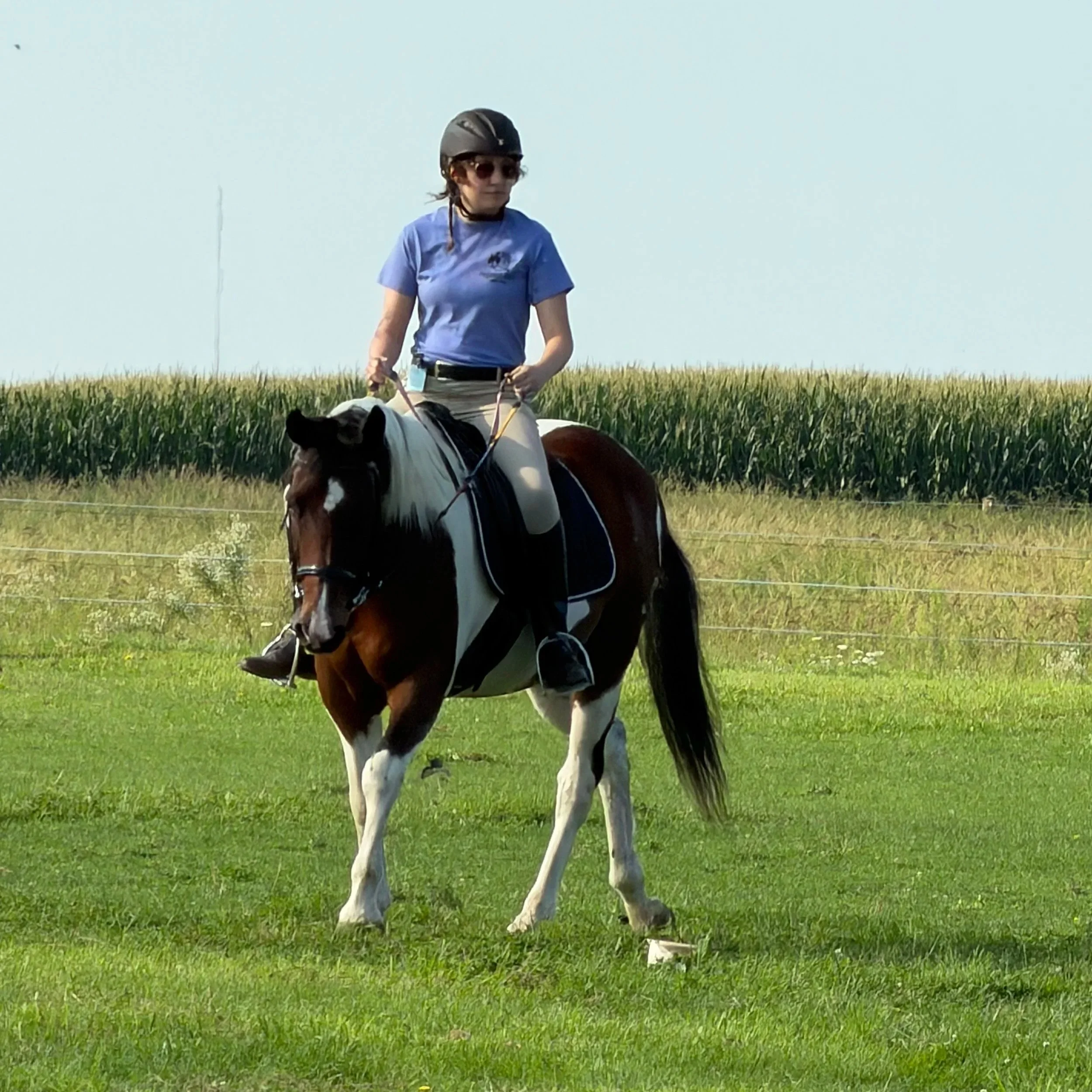 Person wearing helmet and sunglasses riding a horse in a grassy field with tall crops and a clear blue sky.