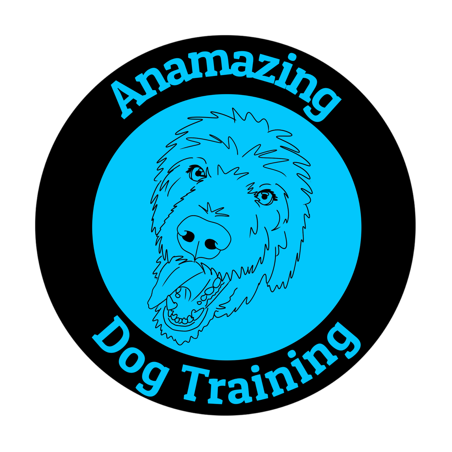 Anamazing Dog Training 