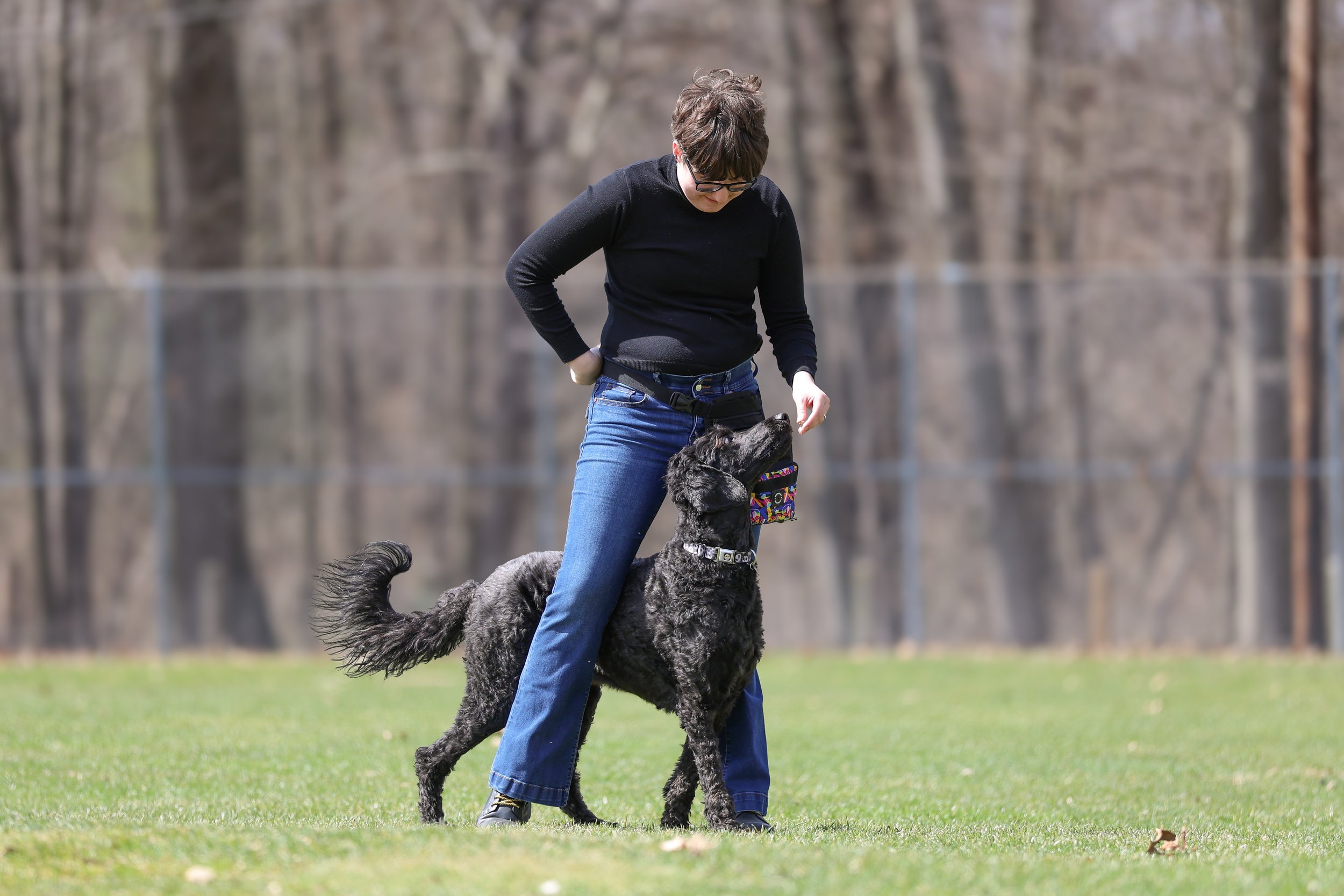 A person with short, brown hair wearing glasses, a black long-sleeve shirt, and blue jeans is outdoors playing with a large black dog that has a curly fur coat, near a body of water with trees in the background.