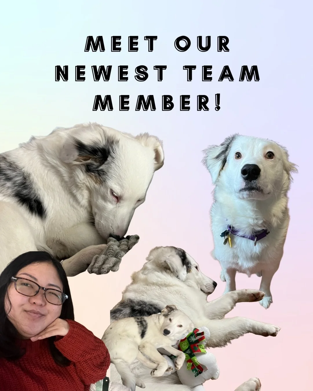 Meet our newest team member!

Nabi is a 7-monthish Aussie mix. Truthfully she is not a very good speller but an important member of The Storyline Social team! You can catch more of her cuteness at @hanna.and.nabi 🐕