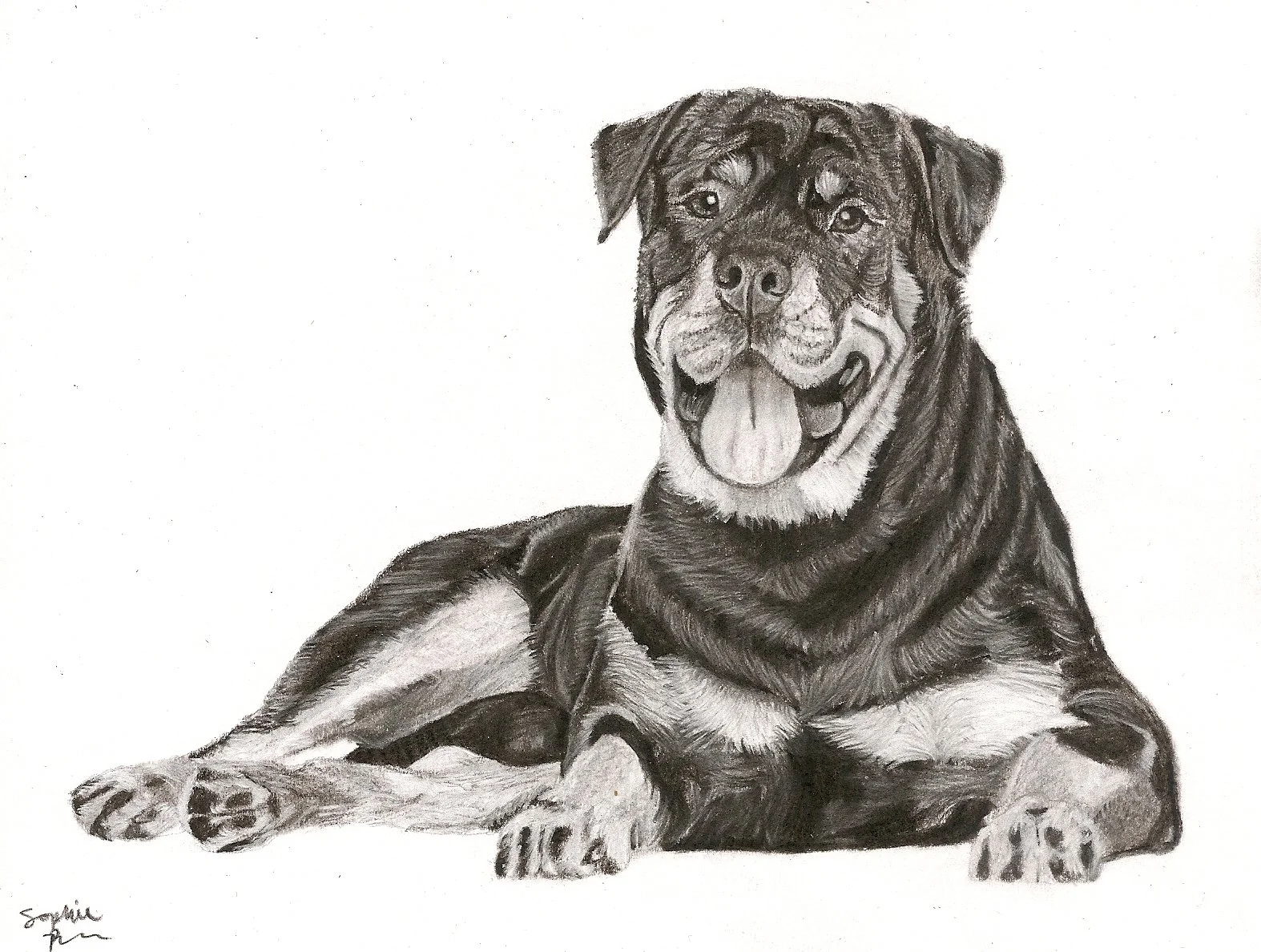 Some Dogs are Old, 2026