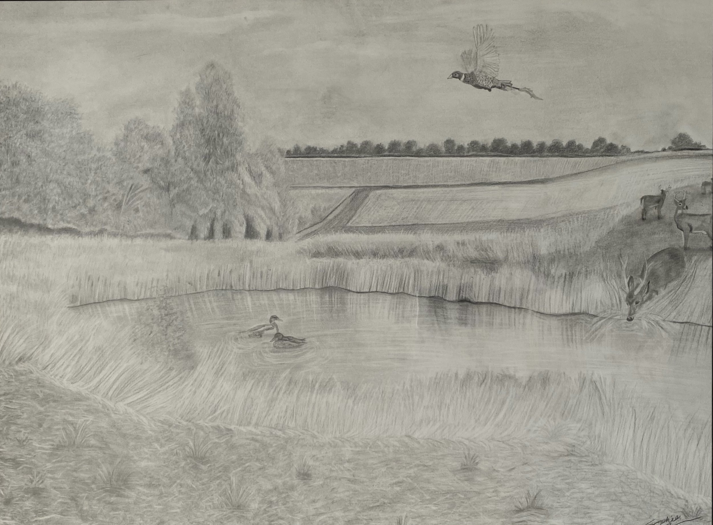 The Quiet Crossing, 2026