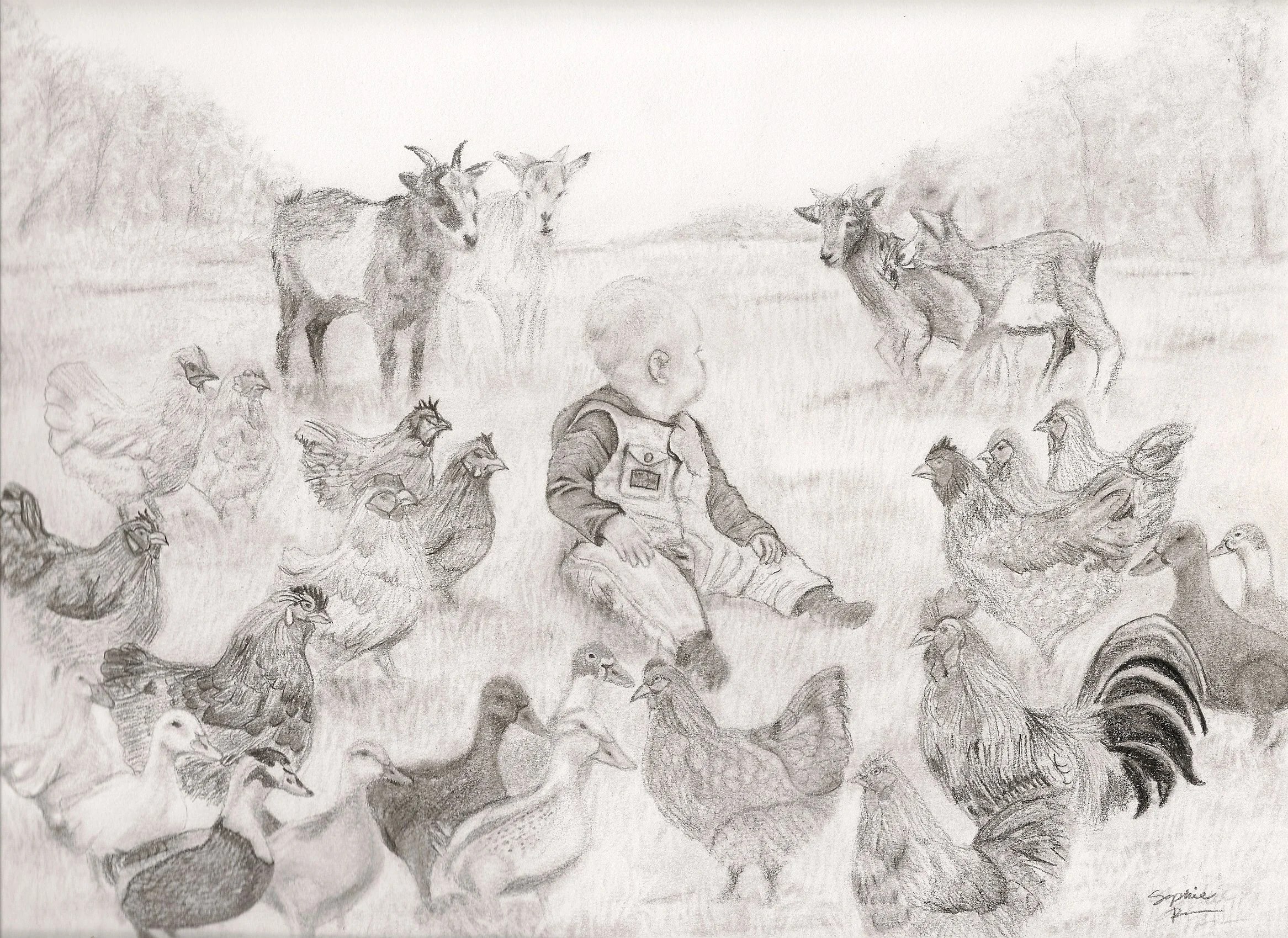 Happy Acres Homestead, 2026