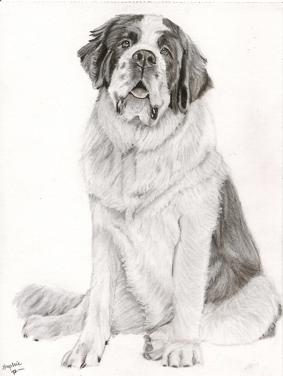 Some Dogs Are Big, 2026