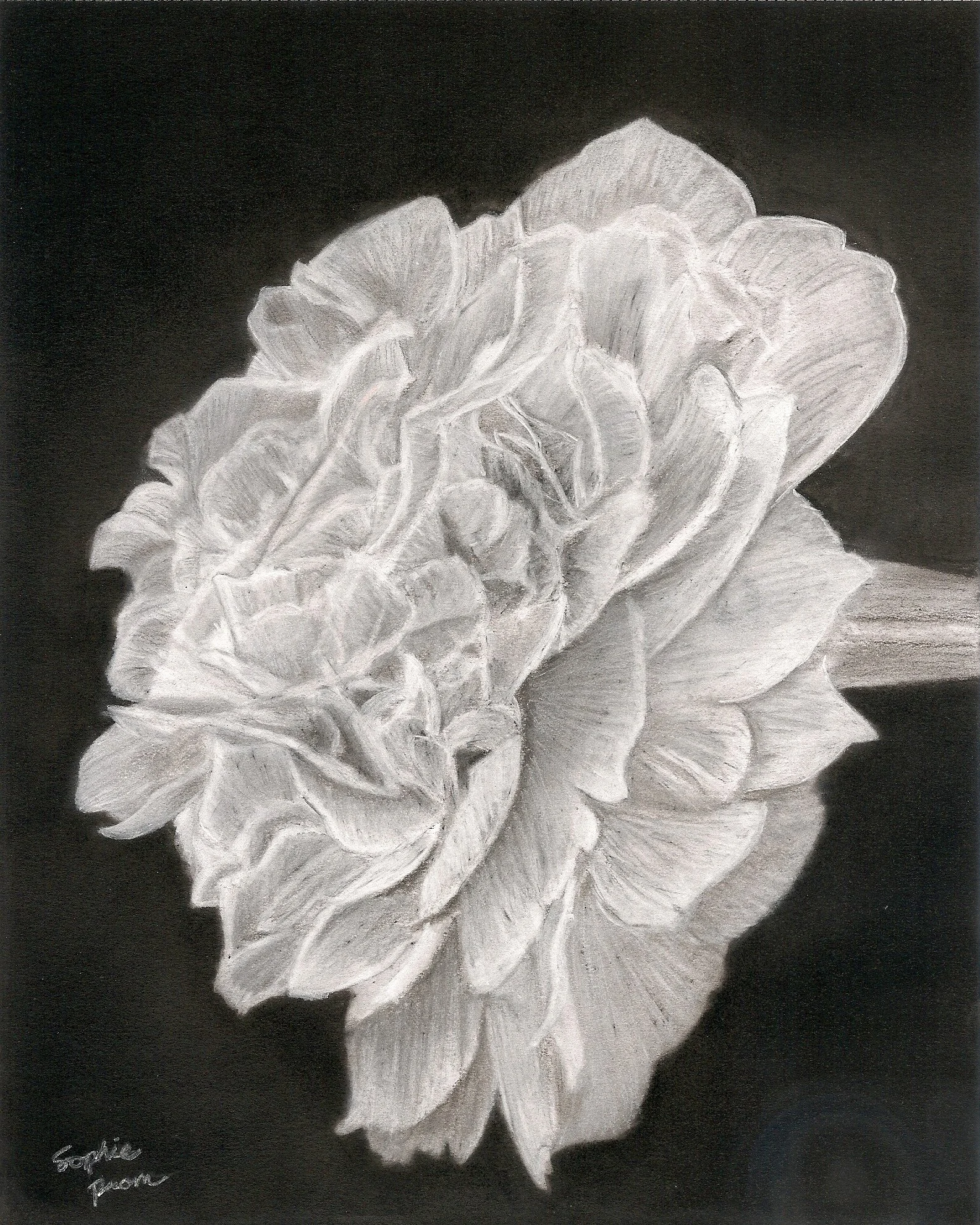 Flower Charcoal.jpg