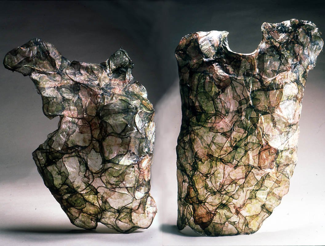 BHartmann_Old and New Growth.jpg