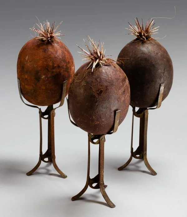 Cynthia Jensen Sprouts-300.jpg