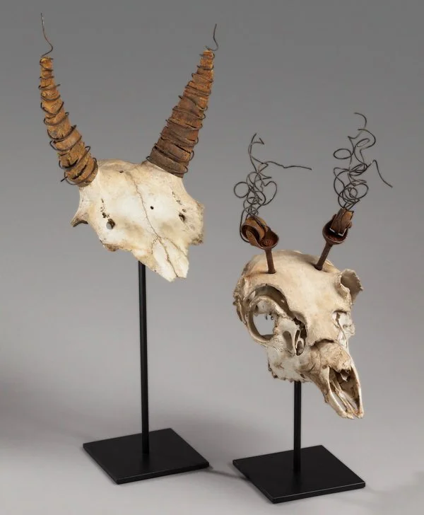 Cynthia Jensen Remains-1-2-300.jpg