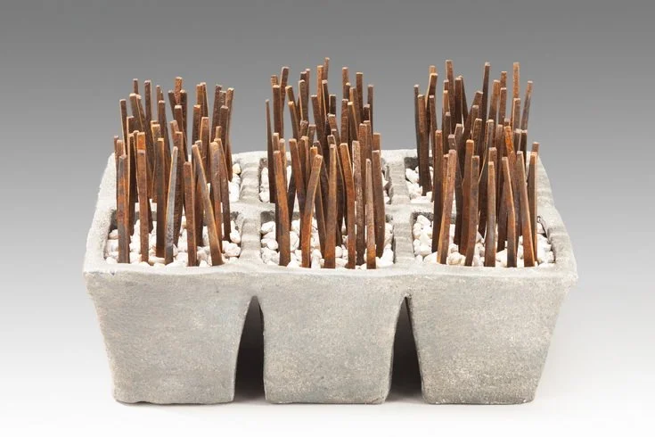 Cynthia Jensen EngineeredSeedlings.jpg