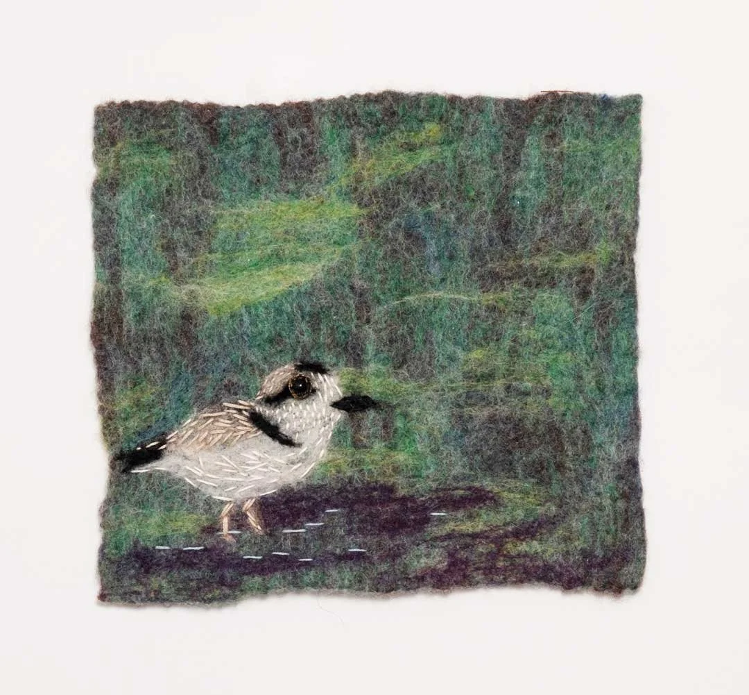 Snowy Plover: Felted wool, 8” x 7”