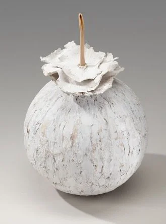 Cynthia Jensen ArrestedDevelopment1.jpg