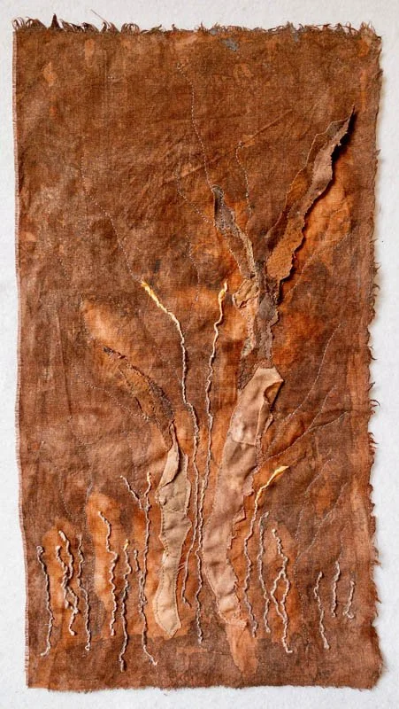 Tracy Flanagan-desert shoots.jpg