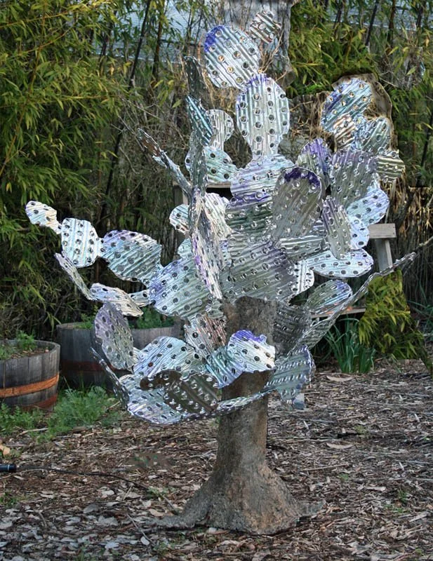 BHartmann_Paddle Cactus.jpg