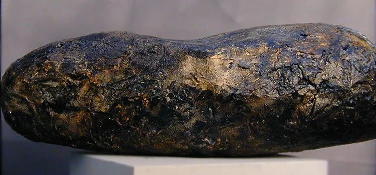 JoAnn Bautista-In The Beginning.jpg