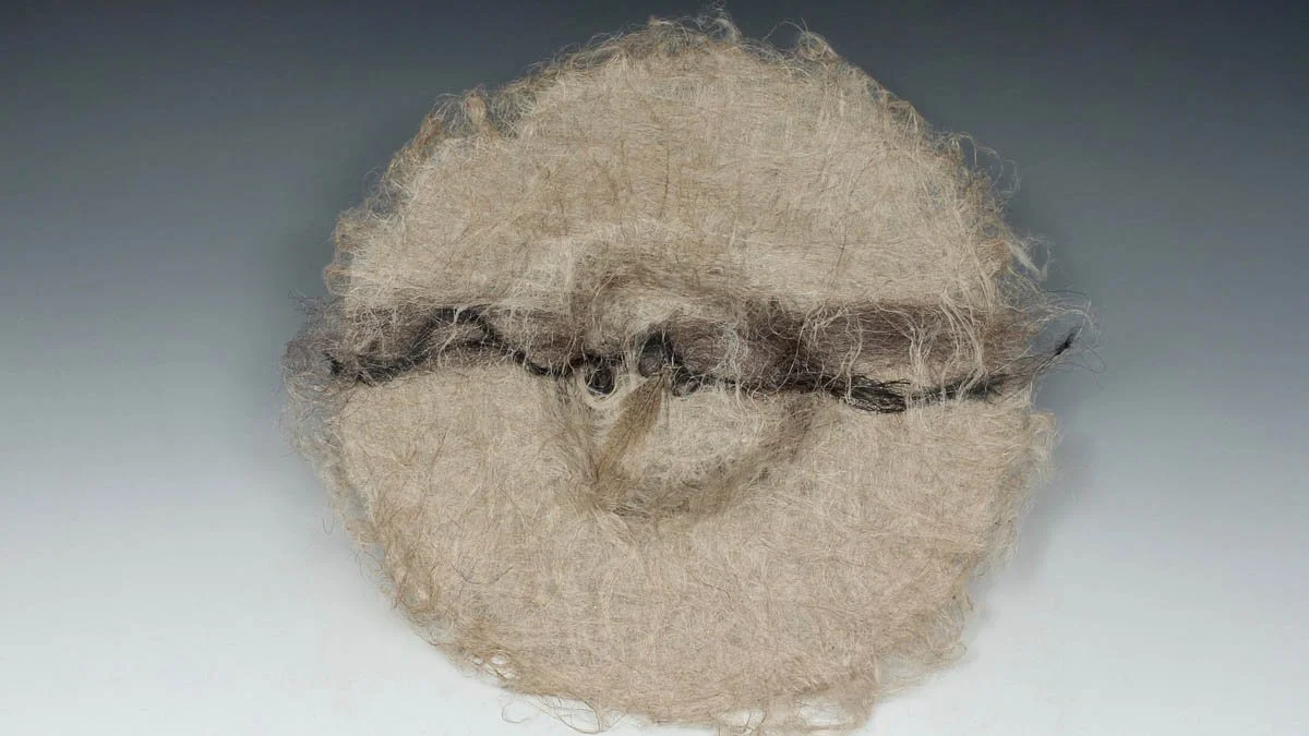 Pamela Leith_Feathery Bowl.jpg