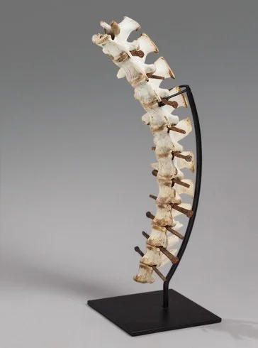 Cynthia Jensen Spine-of-Steel-300.jpg