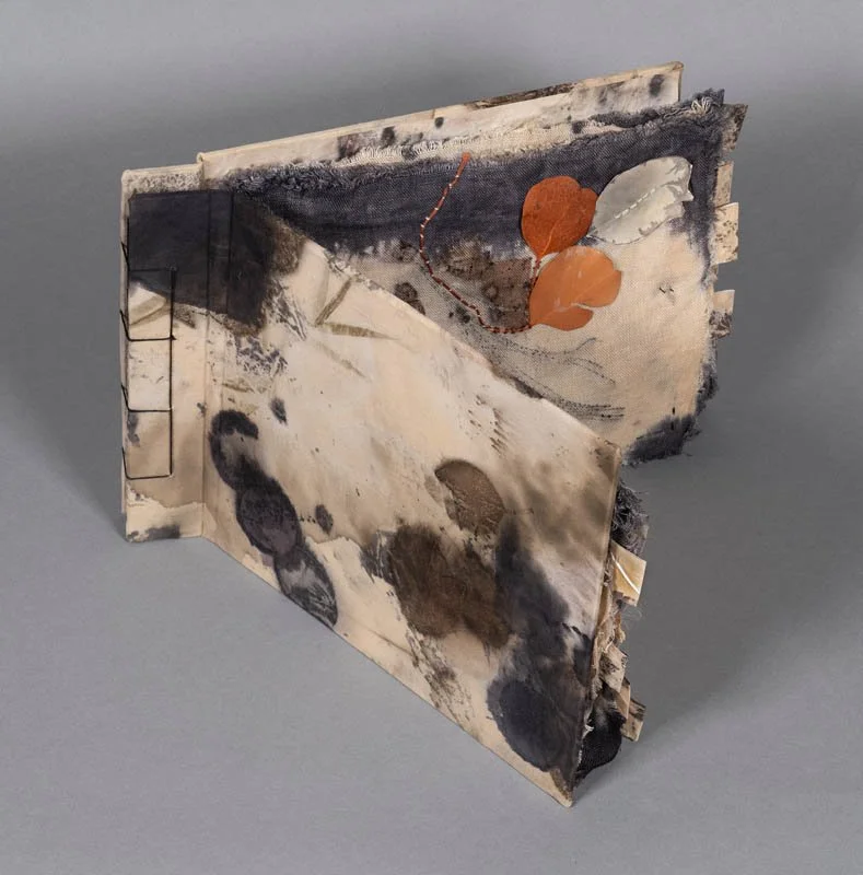 Tracy Flanagan-forestfloorBook opening.jpg