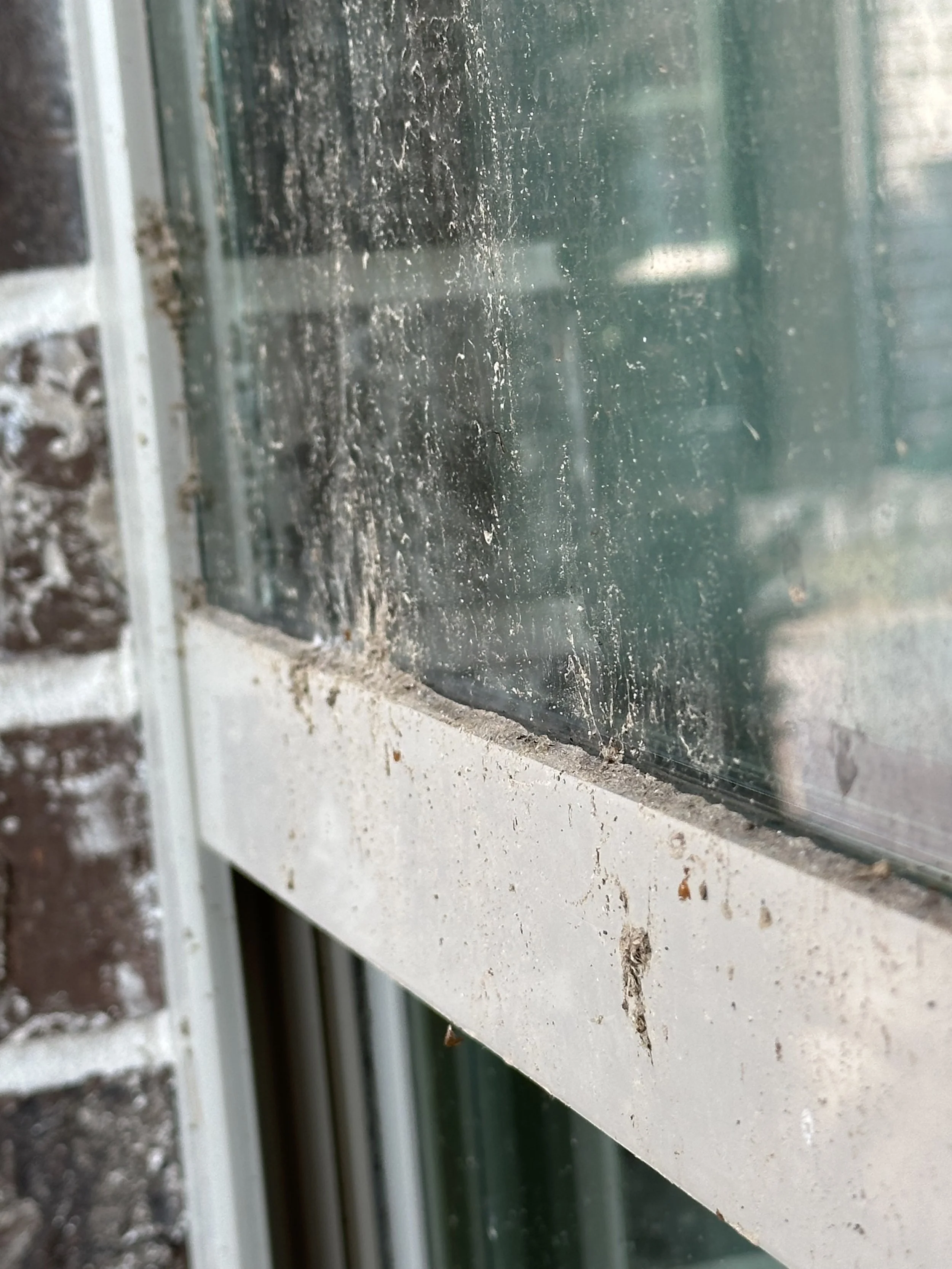 Close-up of a dusty window with dirt and grime on the glass and window frame.