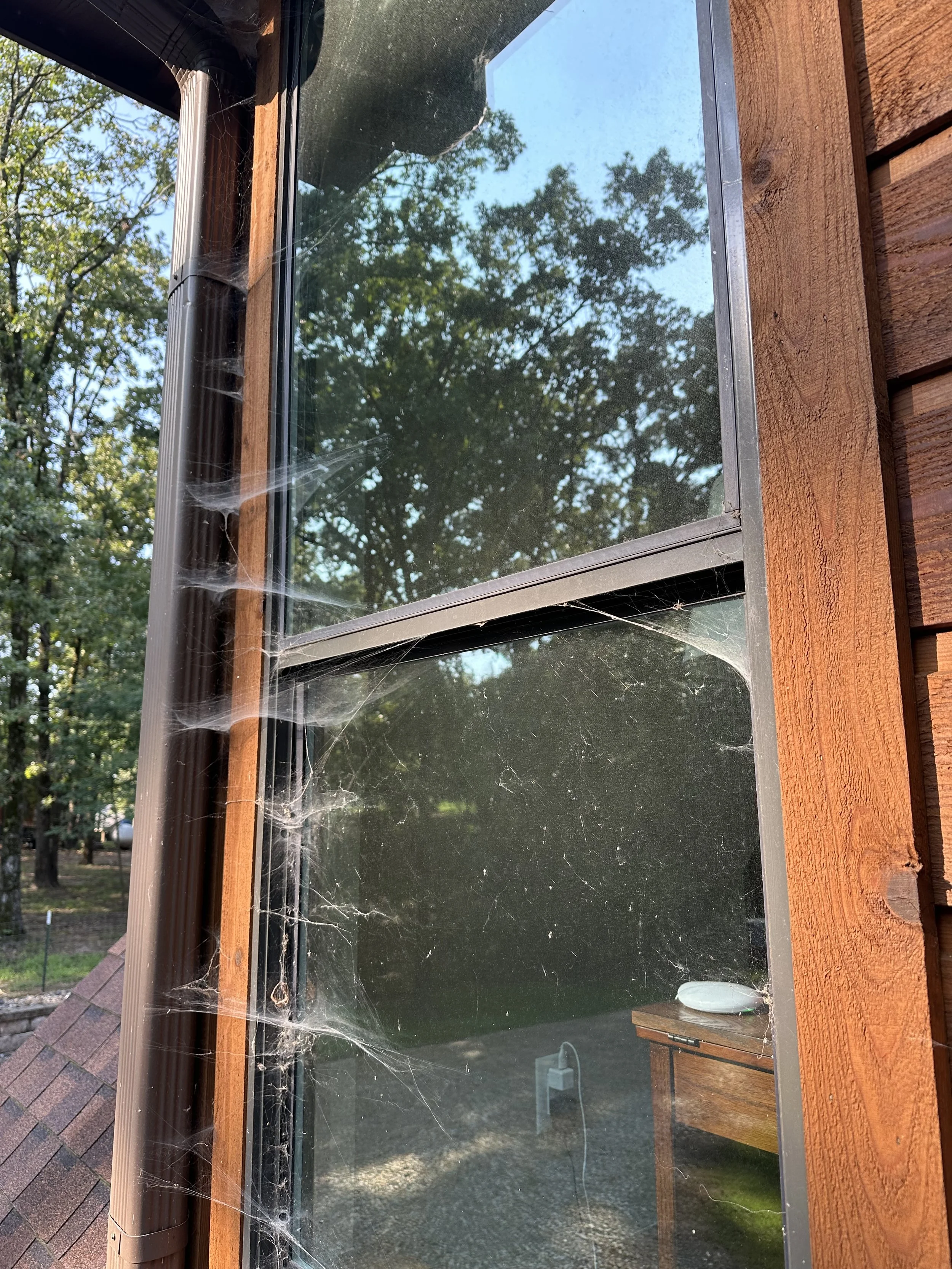 A close-up view of a window with spider webs on the frame and glass, part of a wooden building with external rain gutter and surrounding trees reflected in the glass.