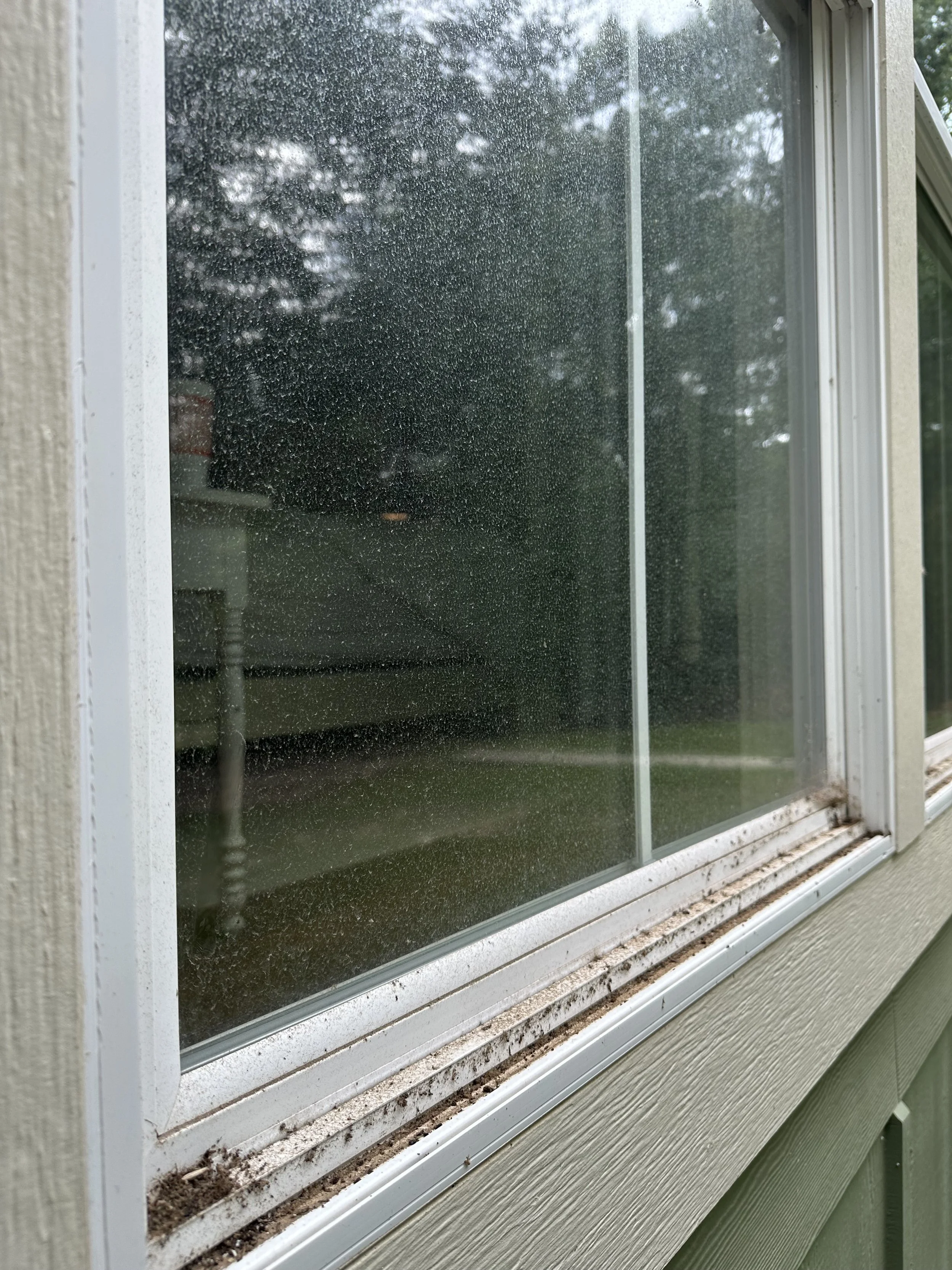 A window with dirt and grime along the bottom frame, and rain droplets on the glass, with reflections of trees and sky outside.