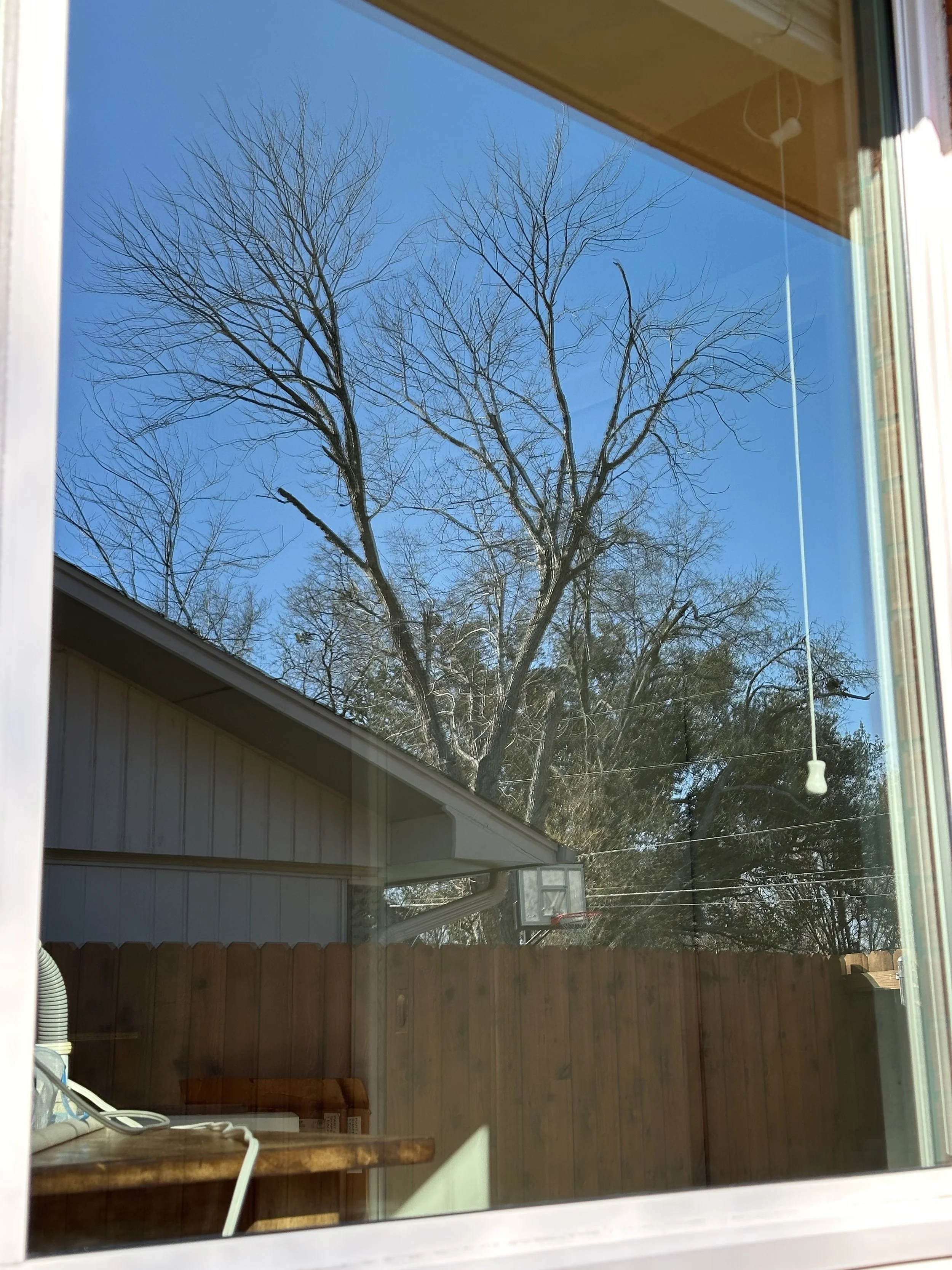 View through a window showing a leafless tree, a house with a basketball hoop on the side, a wooden fence, and a blue sky.