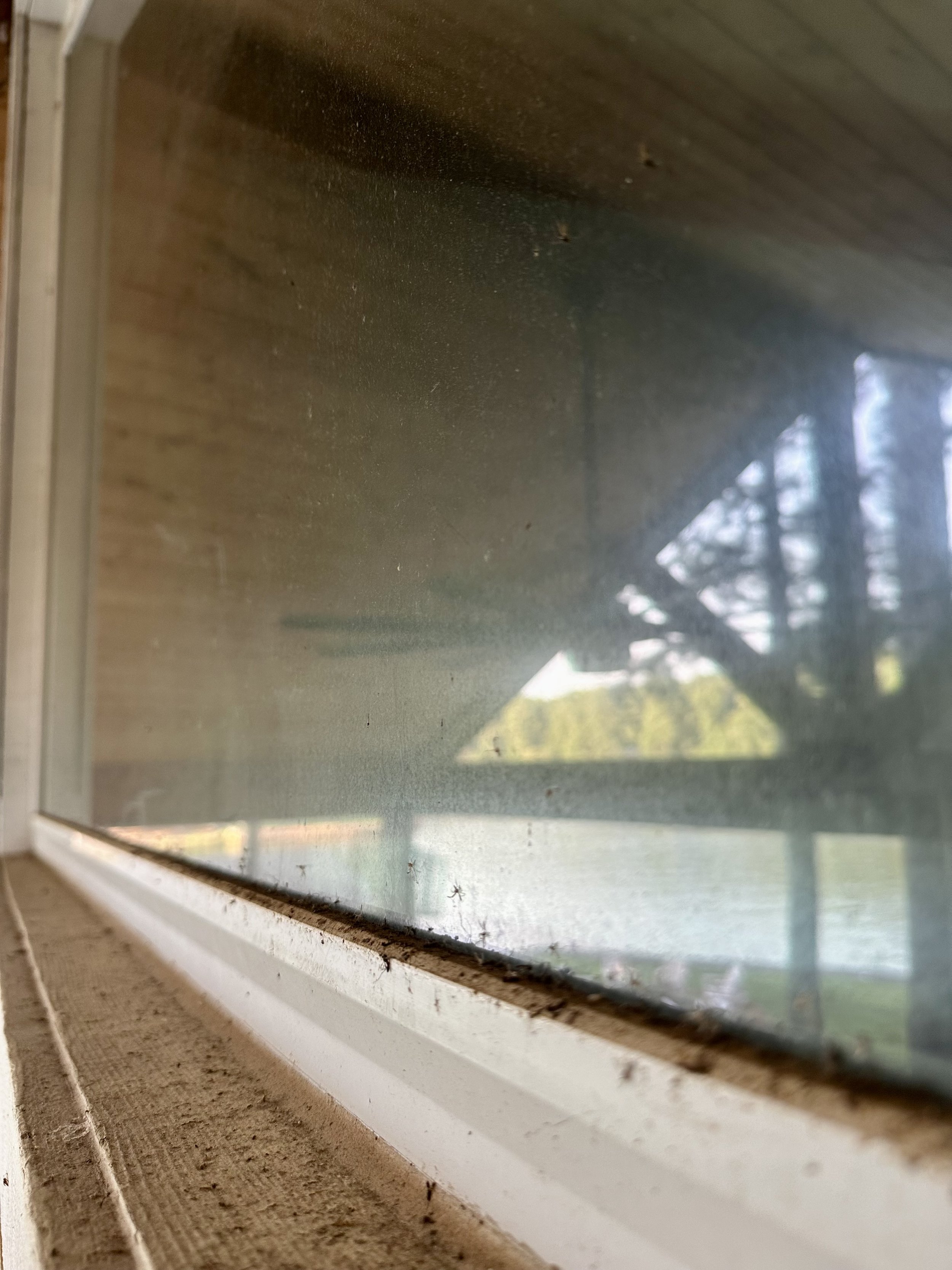 Close-up of a dusty window with a wooden frame, showing a blurred outdoor scene with trees and a body of water.