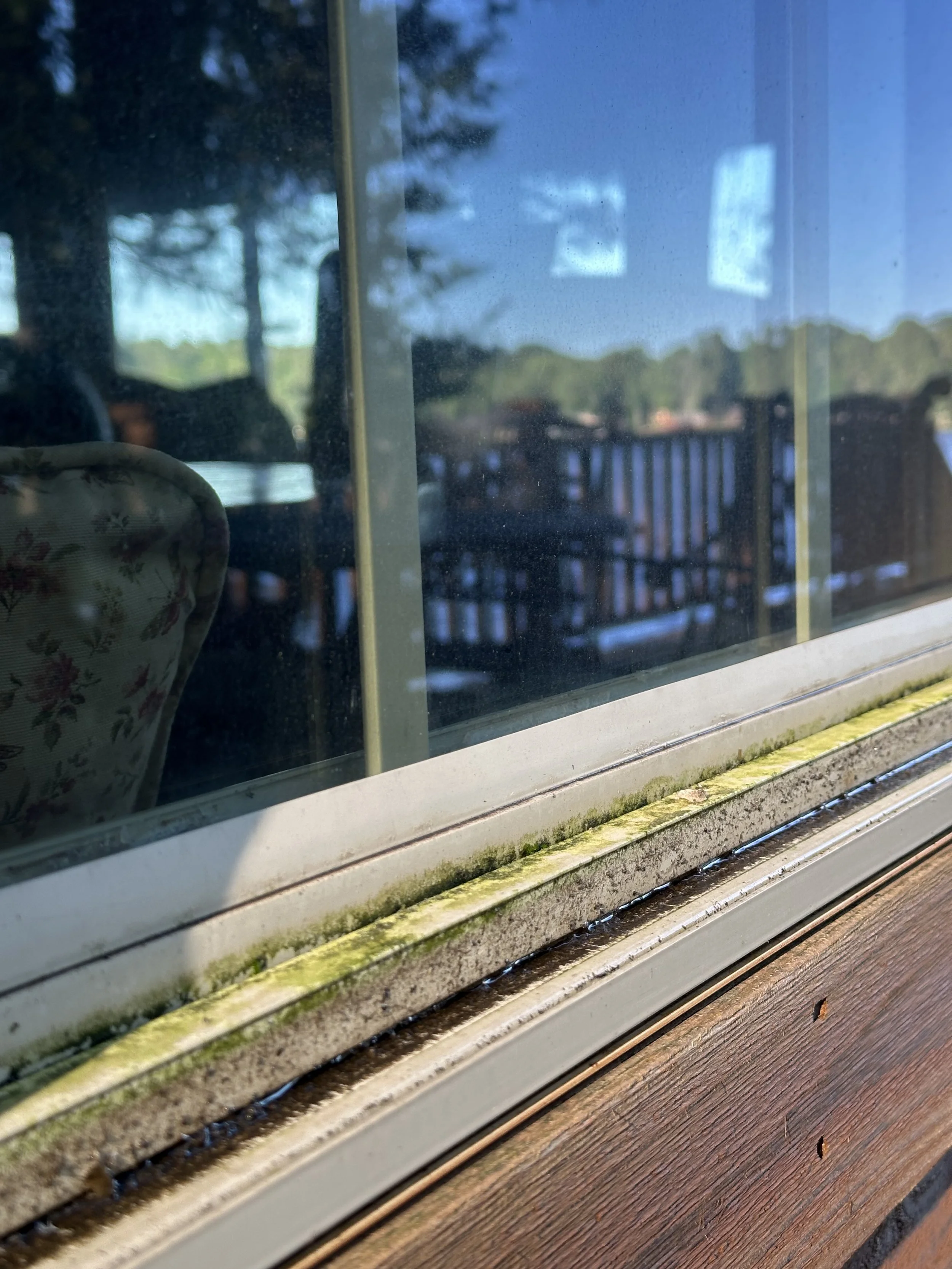 Close-up of a window with green moss or mold along the bottom frame, showing reflections of trees and a porch outside.