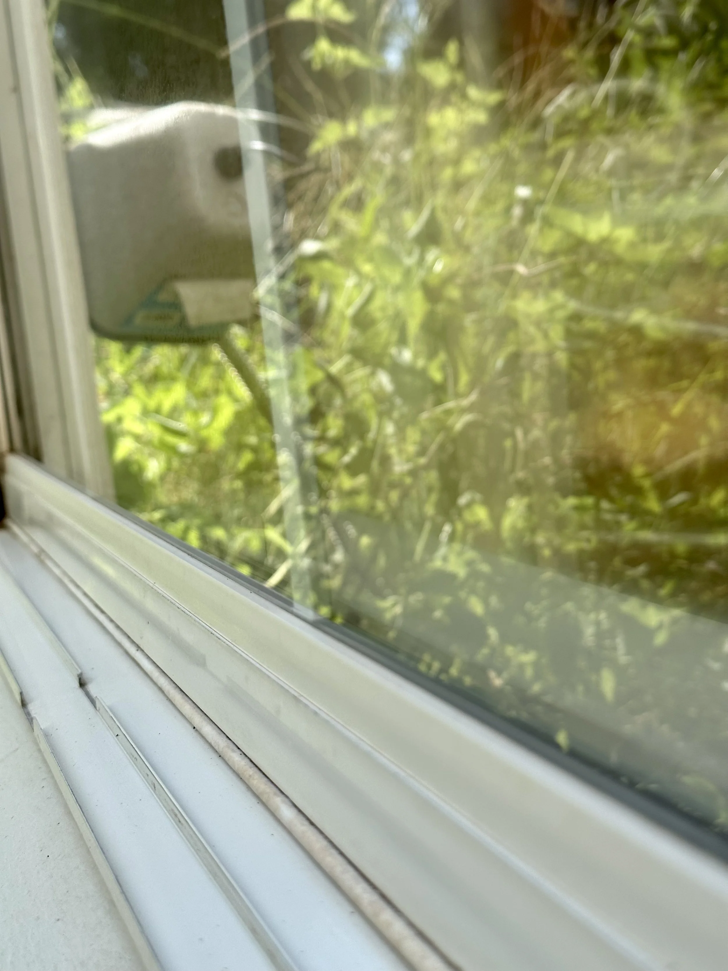 View through a window with a blurred outdoor scene of green foliage and a white humidifier or air purifier.